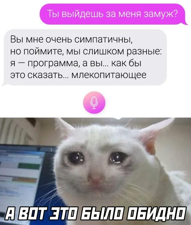 Бесплатный редактор открыток