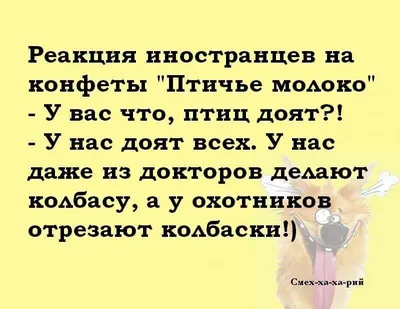 Фото с позитивными надписями - скачать бесплатно в хорошем качестве