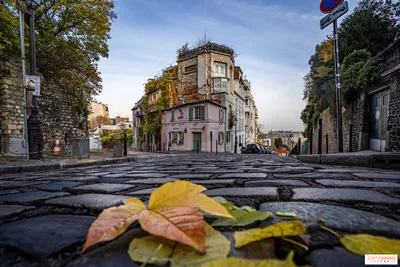 Фото с надписью Скоро осень на фоне осеннего леса