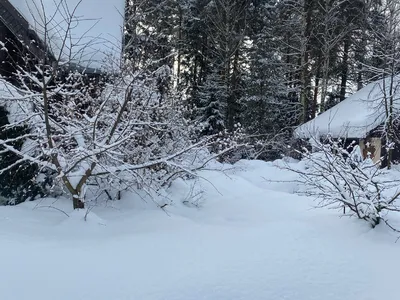 Вдохновляющие фото с надписью Скоро весна