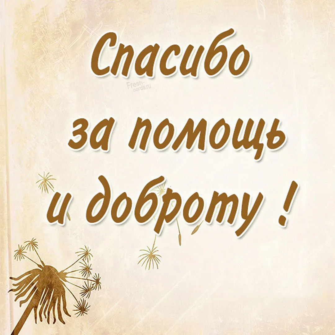 Прекрасные фото с надписью Спасибо за поддержку | Картинки С Надписью  Спасибо За Поддержку Фото №2207371 скачать