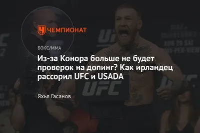 Ufc: красочные изображения 2024