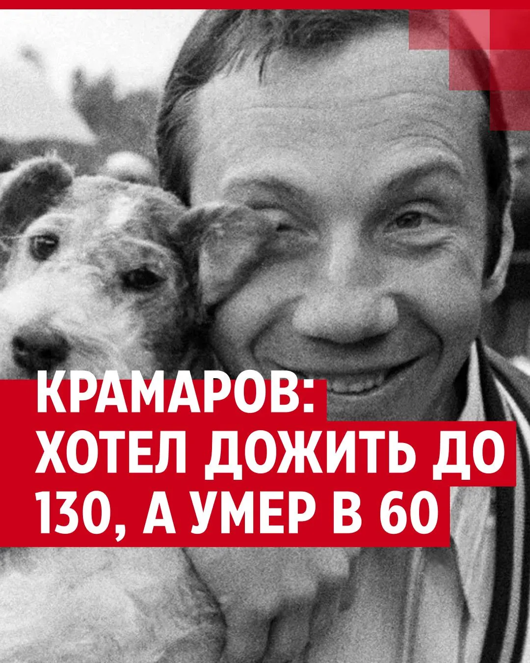 Фотографии Заболела в высоком разрешении | Картинки С Надписью Заболела  Фото №2205643 скачать