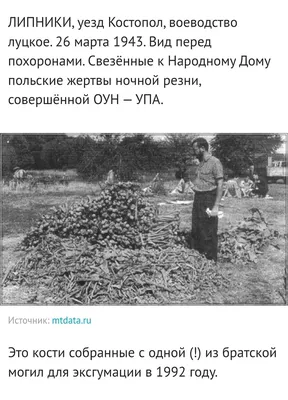 Уникальные фотографии с надписью Забудь меня