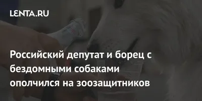 Фото с надписью Жизнь Продолжается: Источник вдохновения и силы