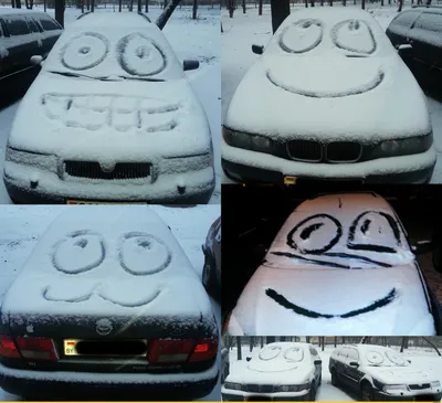 Забавные моменты с первым снегом: фото, которые заставят вас улыбнуться