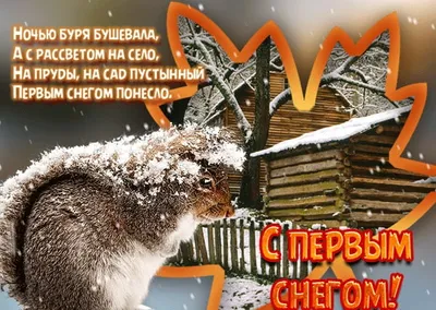 Смешные изображения с первым снегом