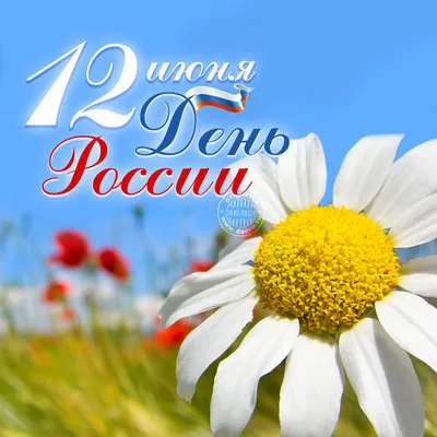 27) Новые изображения с праздником 12 июня - скачать бесплатно в хорошем качестве (JPG, PNG, WebP)