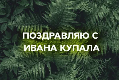 Иван Купала: фотографии праздничных гуляний и обрядов.