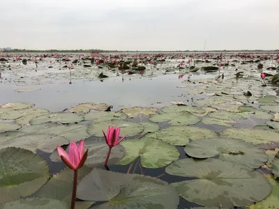 Вдохновляющие фото с Международным женским днем