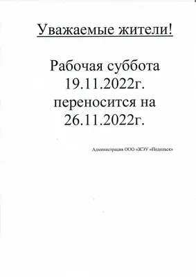 Рабочая суббота в объективе: захватывающие моменты рабочей активности