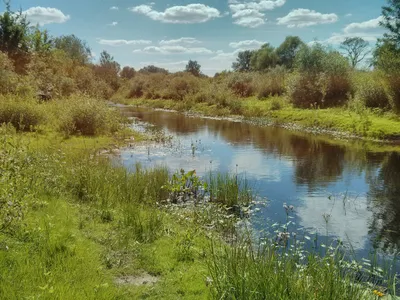 Картинки весны: скачать бесплатно в HD качестве