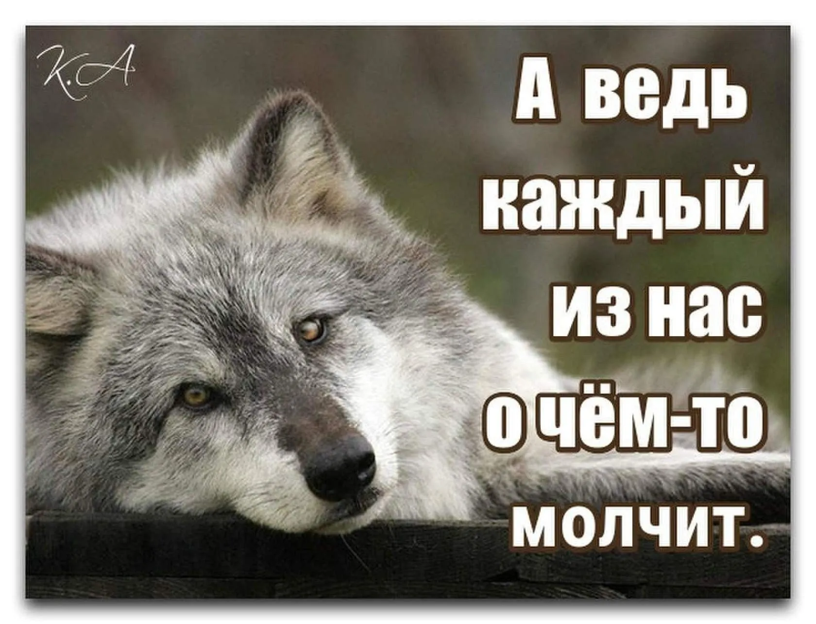 Идеи на тему «Открытки на праздники с волком и зайцем из ну, погоди » (13) | открытки, погода, волк