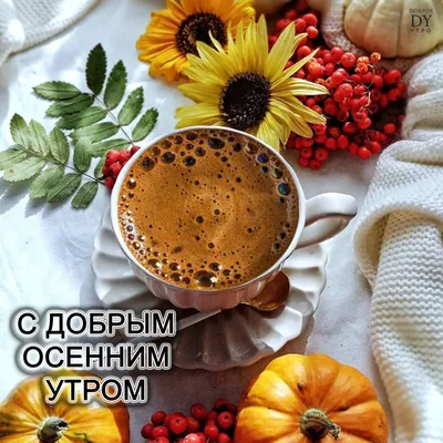 Утренние моменты осени: фотографии