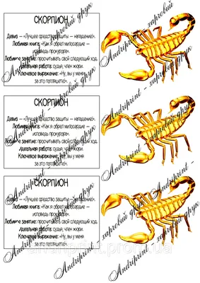 Картинки Скорпион С Надписью - новые фотографии для скачивания
