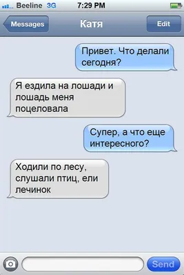 Смешные смс переписки на фото