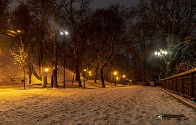 Фотографии снегопада в темноте, которые оставляют впечатление