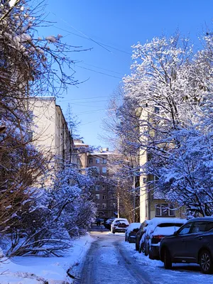 Картинки снежной весны с солнечными лучами