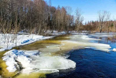 Снежная весна: вдохновляющие фотоснимки