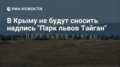 23) Фото с львами в высоком разрешении