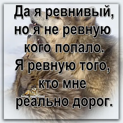 24) Скачать картинки с львами с надписью