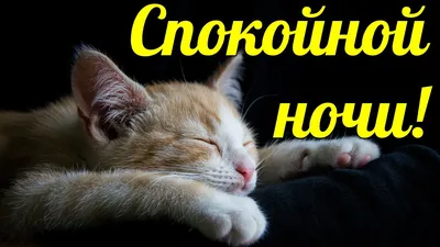 Ночные картины: вдохновение и уют