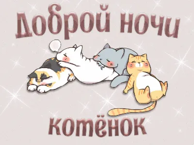 Котенок желает спокойной ночи - скачать бесплатно картинку котенка