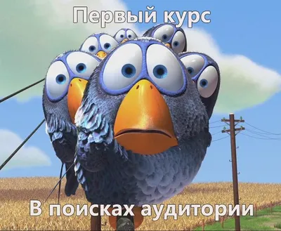 Смешные фото студентов: скачать в JPG, PNG, WebP