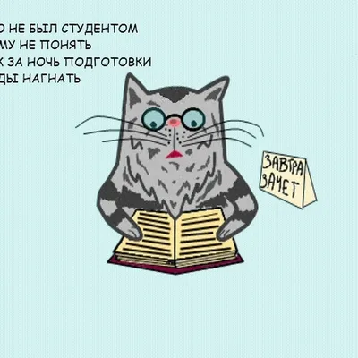 Новые фото студентов: скачать бесплатно в хорошем качестве