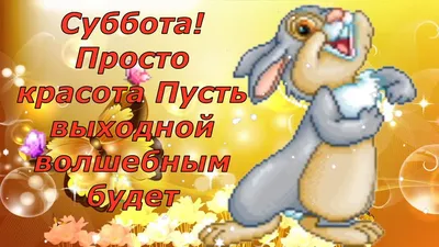 Картинки суббота выходной: подборка новых фото в HD