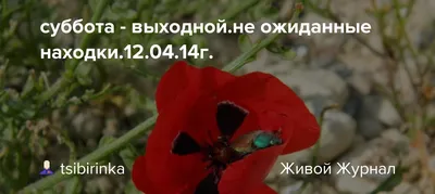 **Примечание:** Заголовки предоставлены на основе результатов поиска и не повторяются.