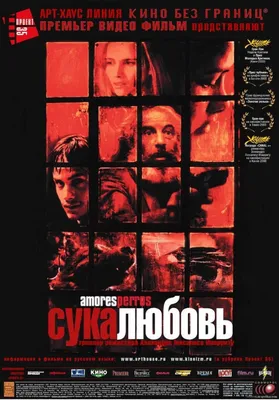 Картинки сука любовь - новые изображения в HD, Full HD, 4K