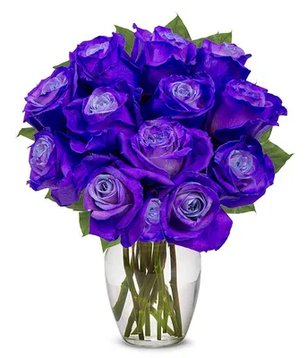 Фото фиолетовых цветов в формате JPG