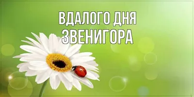 Цветы для хорошего дня. Новые изображения в формате JPG, PNG, WebP