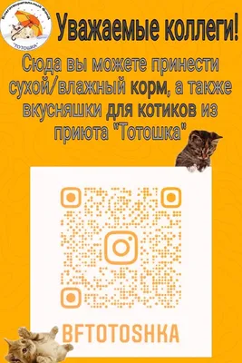 Фотографии, которые творят добро: вдохновляющие моменты в объективе