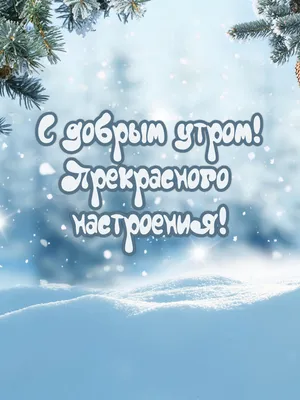 Зимние дни в объективе: моменты счастья и тепла.