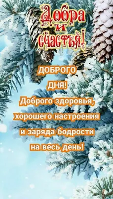 Картинки удачного зимнего дня: выберите размер изображения и скачайте в форматах JPG, PNG, WebP