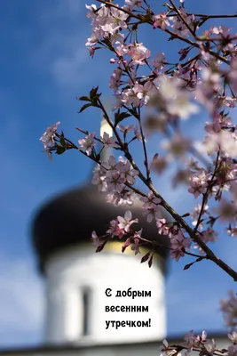 Картинки утро весна: вдохновение для нового дня