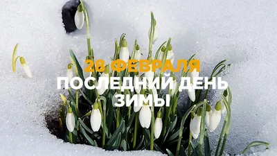 Весенние пейзажи: природа пробуждается