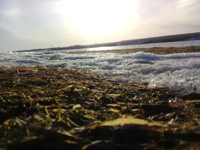 Фотографии весеннего солнца в высоком разрешении