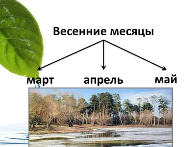 Весенние картинки: бесплатное скачивание в хорошем качестве