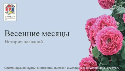 Весенние месяцы: время цветения