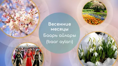 Весенние месяцы: волшебство и чудеса природы