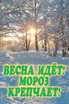 Весна в объективе: красота и гармония городской жизни