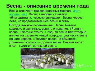 Фото весны: уникальные снимки природы в мае