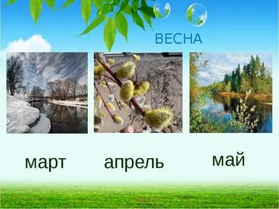 Фотографии весенней природы: апрельские вдохновения