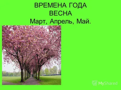 Картинки весны: вдохновение в апреле