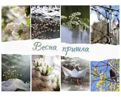 Фотографии весны: Full HD изображения 2024