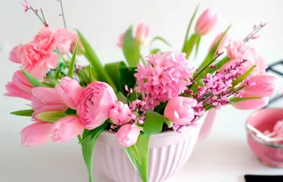 Весенние цветы на фото - скачать в формате JPG, PNG, WebP