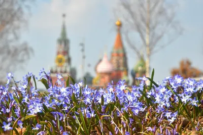 Весенние краски: фотографии весны в России